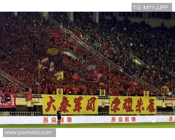 探索南京羽毛球队背后的精神与文化传承之路