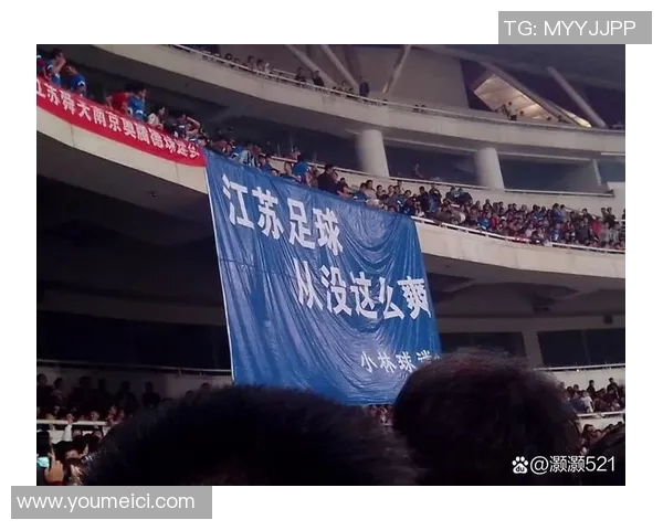 南京排球队比赛经验引发热议球迷对战术选择和临场表现展开激烈讨论