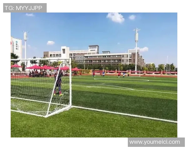 乒乓球热议南京乒乓球队个人能力争议与欧冠足球的精彩对比分析